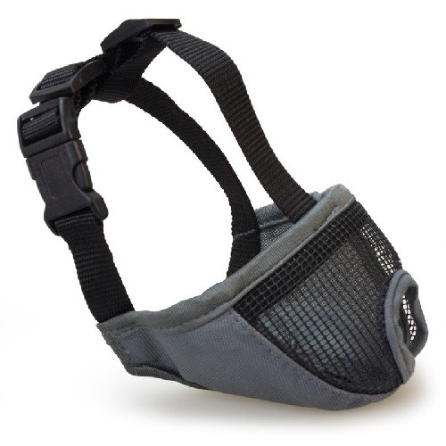 Short Muzzle for Small Dogs Grey