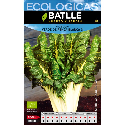 Swiss Chard Green White 25g