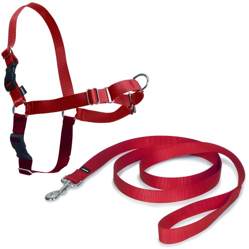Easy Walk Small Harness in Red