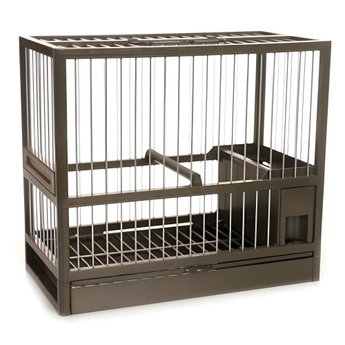 Cages - C-1 Silvestrismo - Green