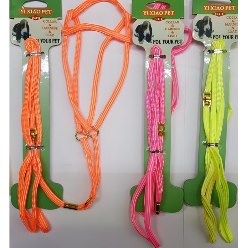 Nylon Exhibition Harness and Leash