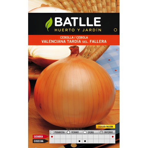 Valencian Late Onion - Self-Seeded