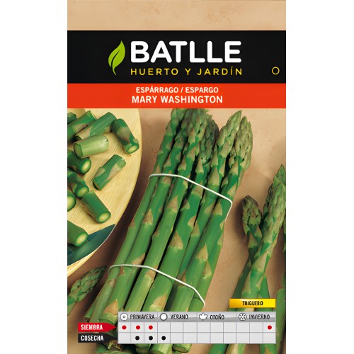 Mary Washington Green Asparagus Seeds