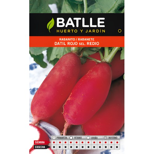 Red Datil Rabanito Seeds