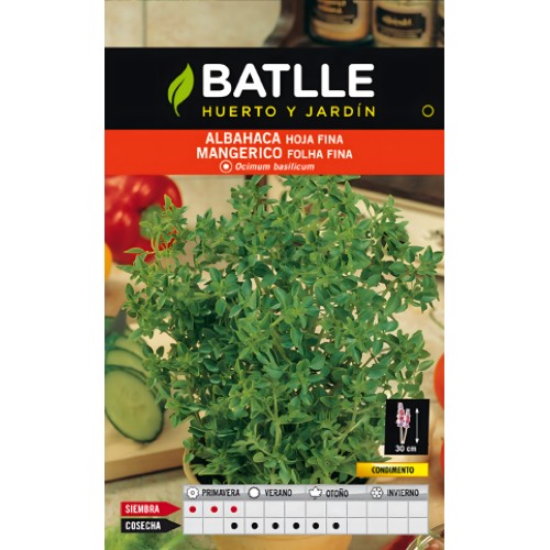 Batlle Fine Leaf Basil