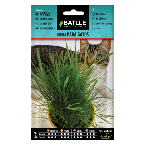 Batlle Cat Grass