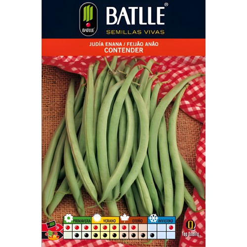 Dwarf Bean Contender 1 Kg - Batlle