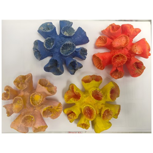 Coral Bonita 10x10x5cm