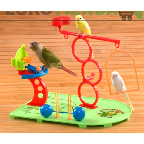 Parque Basketball (periquitos,agapornis,) Sun Parrots