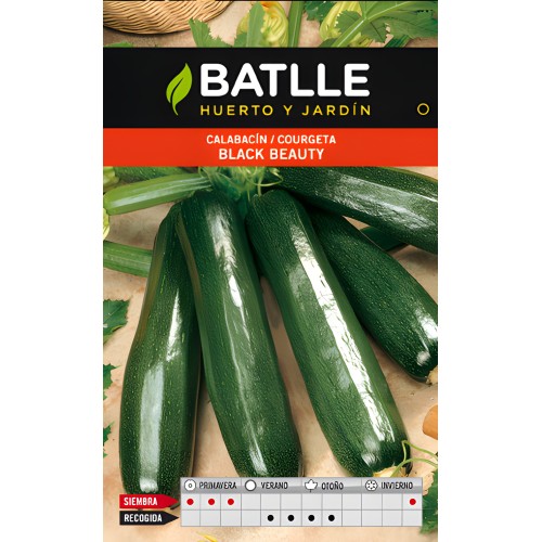 Batlle Black Beauty Zucchini Seed