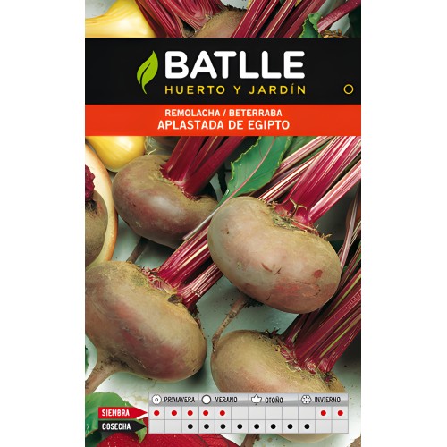 Egyptian Flattened Beetroot - Batlle