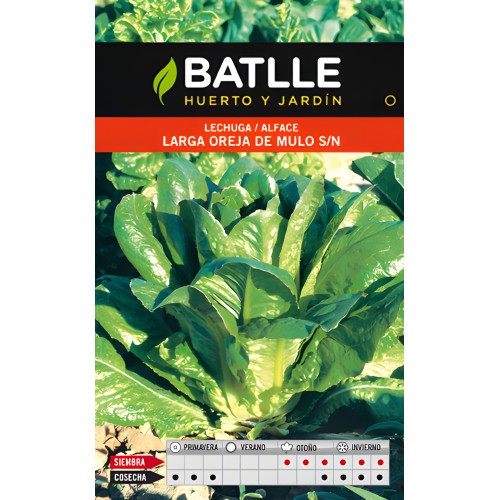 Long Lettuce 'Oreja de Mulo' - Batlle