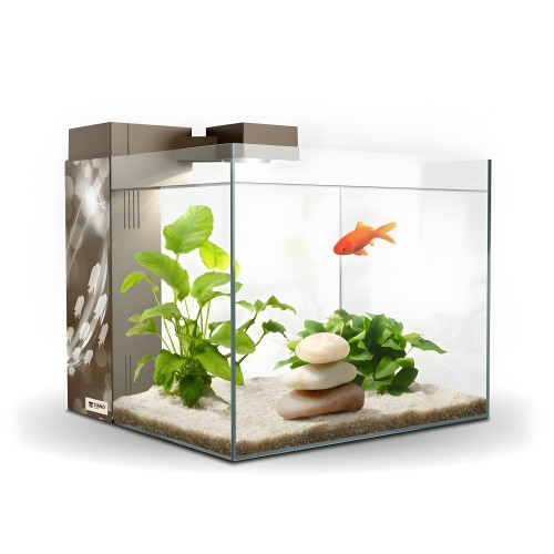 Acuario Zeneo 30 Eclat Ciano