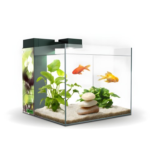 Ciano Zeneo 30 Aquarium - Low Maintenance Style