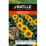 Batlle Sunflower Seeds for Pips