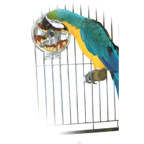 Interactive Wheel for Birds - Sun Parrots