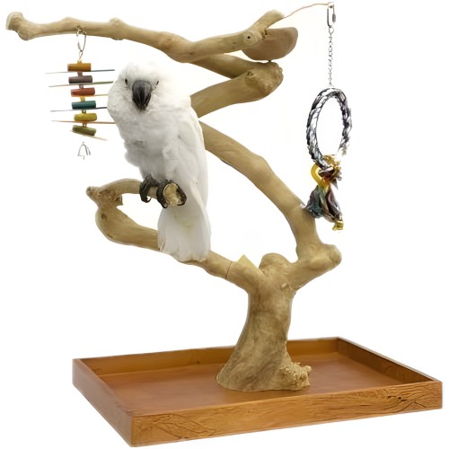 Sun Parrots Mini Medium Tree