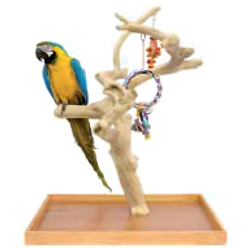 Arbol Mini Grande Sun Parrots + Comedero