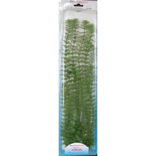 Planta Ambulia Plus 28-33cm