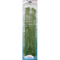 Ambulia Plus Plant 28-33cm