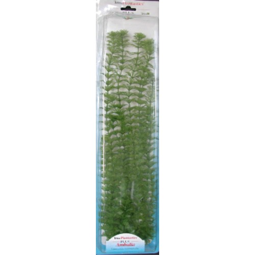 Ambulia Plus Plant - 46cm