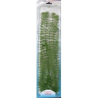 Ambulia Plus Plant - 46cm