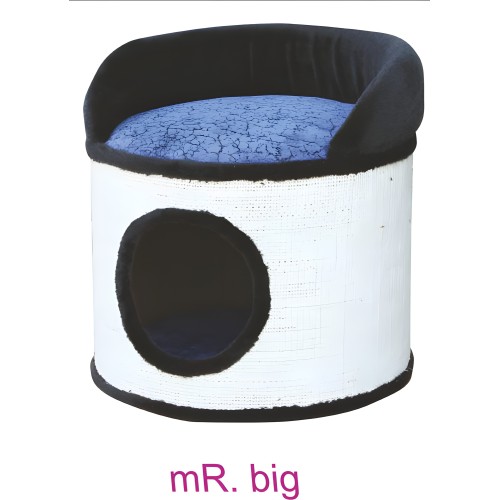 Mr. Big Cat Scratcher - Benelux