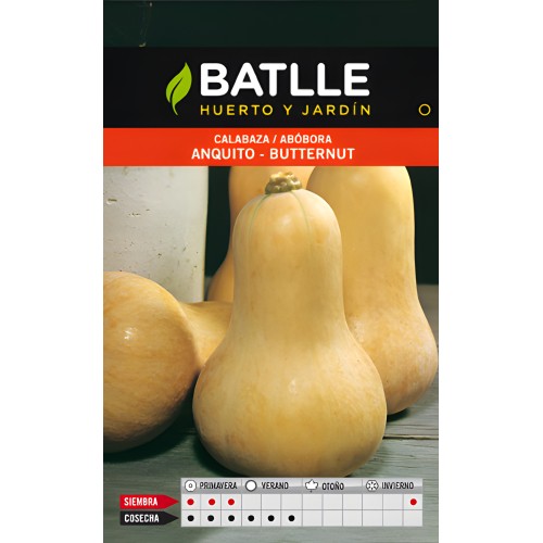 Butternut Squash Seeds - Gardening