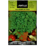 Giant Italy Parsley Seed Packet - Versatile Culinary Herb