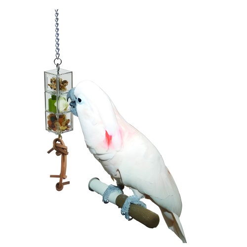 Interactive Toy for Parrots - Sun Parrots
