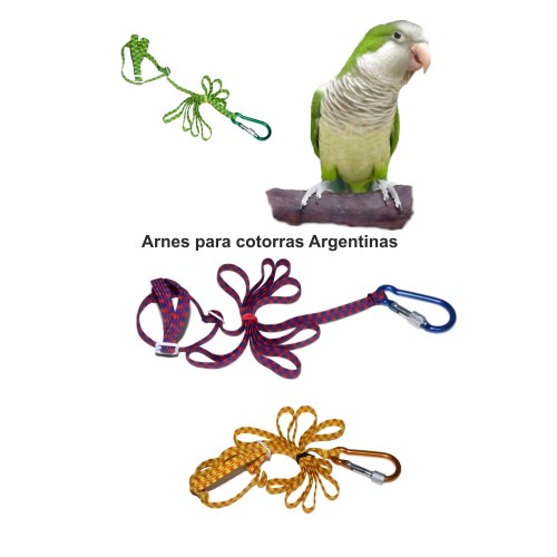 Harness for Argentine Parrots - Prodac