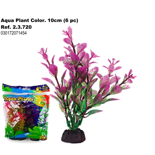 San Dimas Aqua Color Plant 10cm (6 pcs)