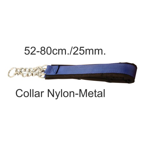 Blue Nylon/Metal Collar