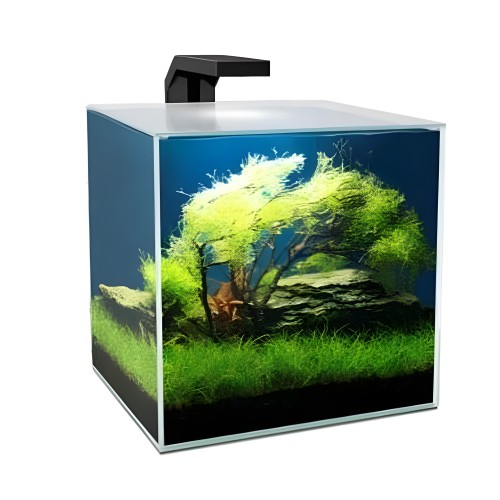 Acuario Ciano Cube Aqua 10L