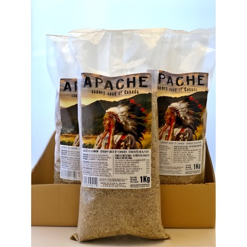 Fauna Mix Canada Apache Millet 1 Kg - Nutrient-Rich Bird Food