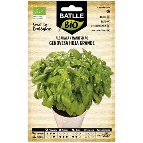 Albahaca Genovesa Hoja Grande.eco - Batlle