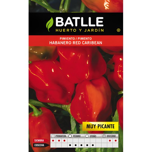 Habanero Red Caribbean Hot Pepper Seedling