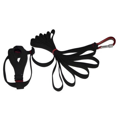 Macaw Harness - Black - Prodac