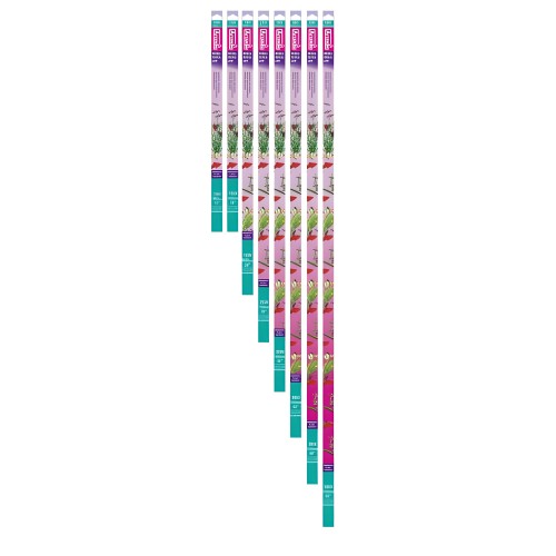 Tubo Arcadia Daylight 14W - Luz Natural Brillante