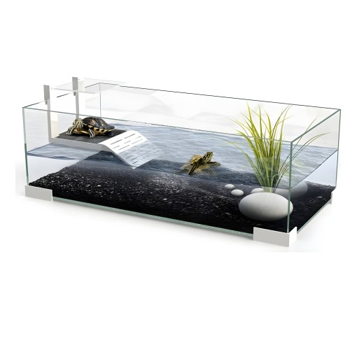 Ciano 60 Plus Tortoise Tank - Modern Habitat