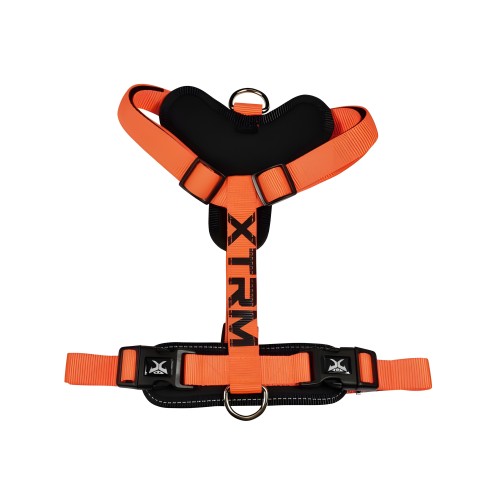 XTRM Cronos Neon Flash Harness - Orange