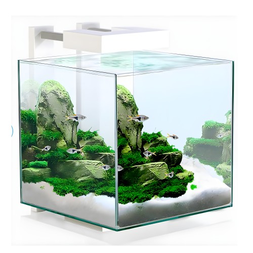 Cube Aqua 15 LED Aquarium - Elegant Design