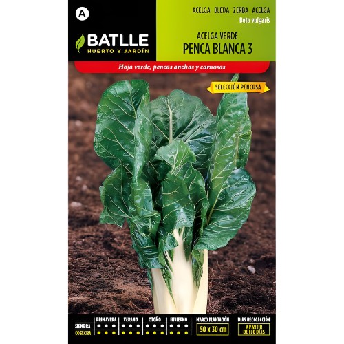 Batlle Green White Swiss Chard Seeds