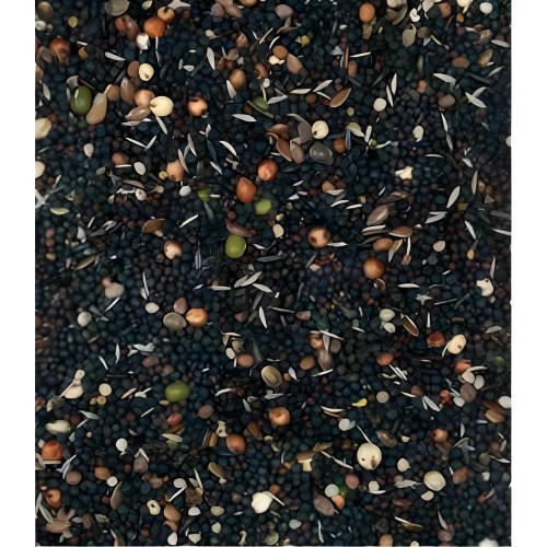 Vinci Germination Seeds