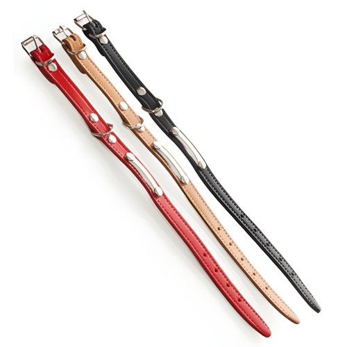 Collar Rojo Para Mascotas Con Placa