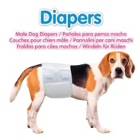 Male Dog Diapers S/M (30-46cm) 12pcs - Arquivet