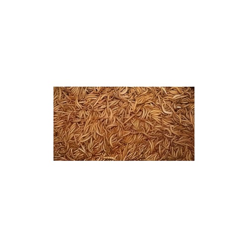 Canariz Dried Mealworms