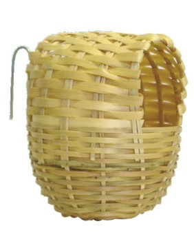 Birds Nests