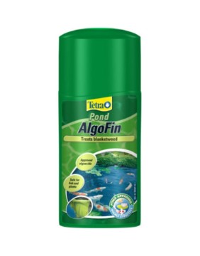 Fish Pond Care and Maintenance Essentials
