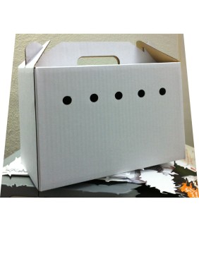 Safe Bird Carriers for Travel